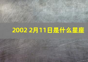 2002 2月11日是什么星座